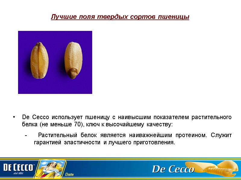 Лучшие поля твердых сортов пшеницы De Cecco использует пшеницу с наивысшим показателем растительного белка